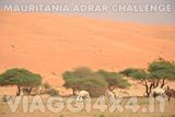 VIAGGI 4X4 IN MAURITANIA