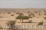 VIAGGI 4X4 IN MAURITANIA