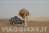 VIAGGI 4X4 IN MAURITANIA