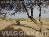 VIAGGI 4X4 IN MAURITANIA