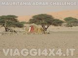 VIAGGI 4X4 IN MAURITANIA