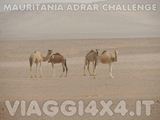 VIAGGI 4X4 IN MAURITANIA