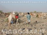 VIAGGI 4X4 IN MAURITANIA