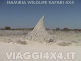  - Foto 85 di 288