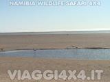  - Foto 223 di 288