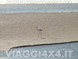  - Foto 225 di 288