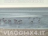  - Foto 227 di 288