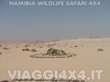  - Foto 241 di 288