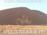 - Foto 272 di 288