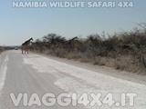 VIAGGI 4X4 IN NAMIBIA