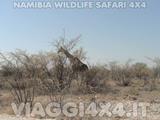 VIAGGI 4X4 IN NAMIBIA