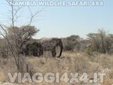 VIAGGI 4X4 IN NAMIBIA