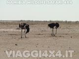 VIAGGI 4X4 IN NAMIBIA