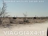 VIAGGI 4X4 IN NAMIBIA