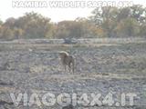 VIAGGI 4X4 IN NAMIBIA