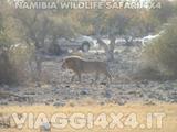 VIAGGI 4X4 IN NAMIBIA