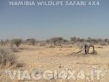 VIAGGI 4X4 IN NAMIBIA