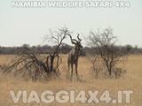 VIAGGI 4X4 IN NAMIBIA