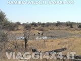 VIAGGI 4X4 IN NAMIBIA