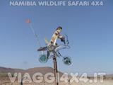 VIAGGI 4X4 IN NAMIBIA