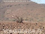 VIAGGI 4X4 IN NAMIBIA