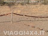 VIAGGI 4X4 IN NAMIBIA