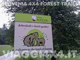 SLOVENIA 4X4 FOREST TRAILSVINTGAR, BLED, LUBIANA ED ISTRIA…