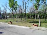 CAMPING COLL VERT, PINEDO, SPAGNA