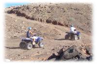 Guidare un Quad / ATV